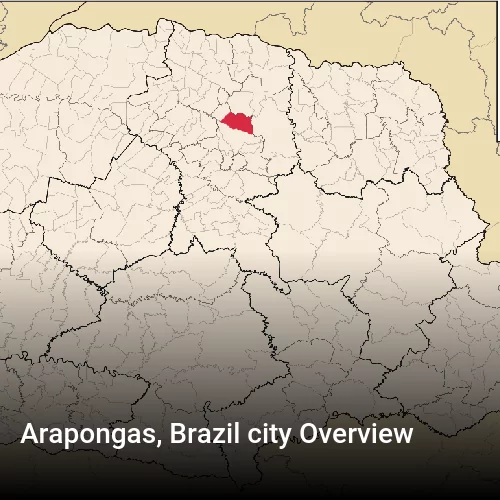 Arapongas, Brazil city Overview