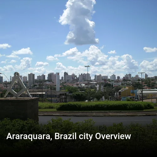 Araraquara, Brazil city Overview