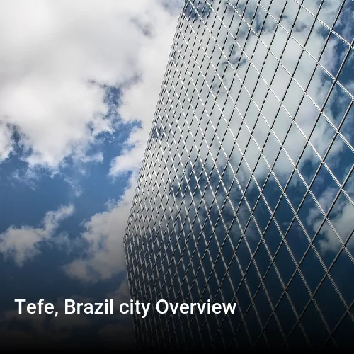 Tefe, Brazil city Overview