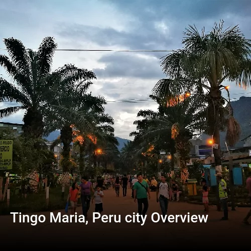 Tingo Maria, Peru city Overview