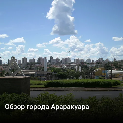 Обзор города Араракуара