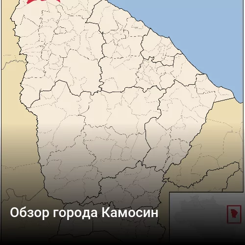 Обзор города Камосин