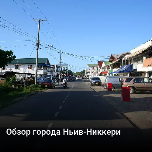 Обзор города Ньив-Никкери